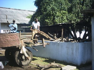 Holz für die Küche