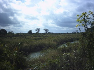 Landschaft